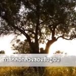 ตัฟซีร ซูเราะฮฺอัลอันอาม 41 (อายะฮฺ 71)