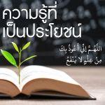 ความรู้ที่เป็นประโยชน์