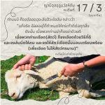 หะดีษ 17-3 จงเชือด(สัตว์)ด้วยวิธีที่ดี//